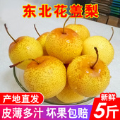 正宗花盖梨5斤10 东北鞍山特产软梨子可做冻梨孕妇水果秋子梨 包邮