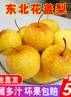 正宗花盖梨5斤10包邮东北鞍山特产软梨子可做冻梨孕妇水果秋子梨