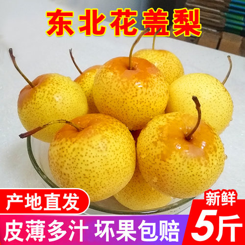 正宗包邮东北鞍山特产可做软梨