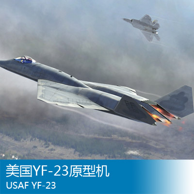 小号手 1/48 美国YF-23原型机 81722图片