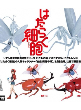 富士美 拼装模型 自由研究所 螳螂 工作细胞 白细胞17160