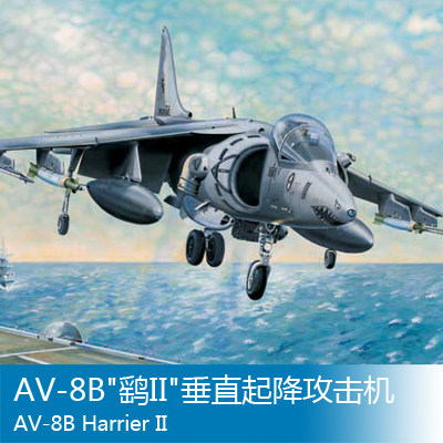 小号手 1/32  AV-8B鹞II垂直起降攻击机 02229