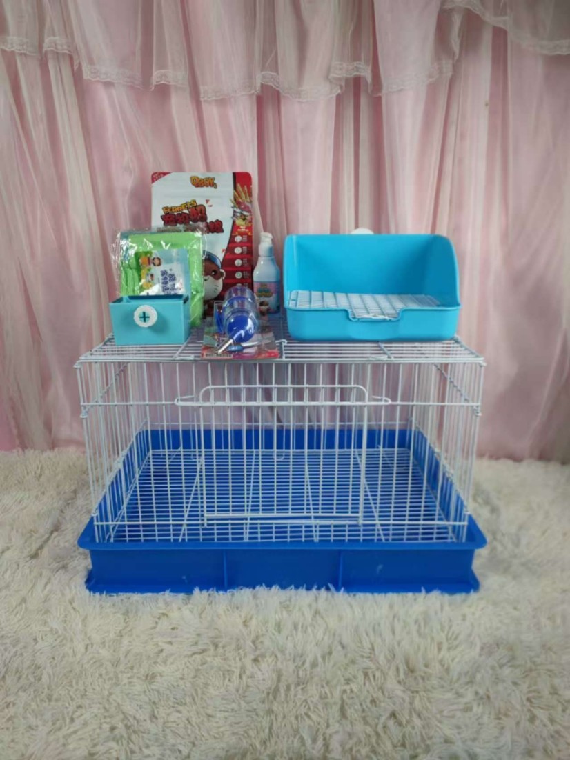 宠物雪貂新手全套饲养用品