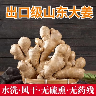 出口级山东大姜老姜大黄姜月子姜水洗风干大片生姜新鲜3/5斤装