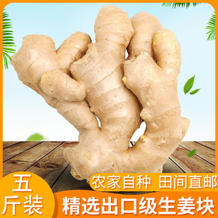 出口品质新鲜姜生姜种风干姜特价新鲜老姜生姜老姜干姜大黄姜