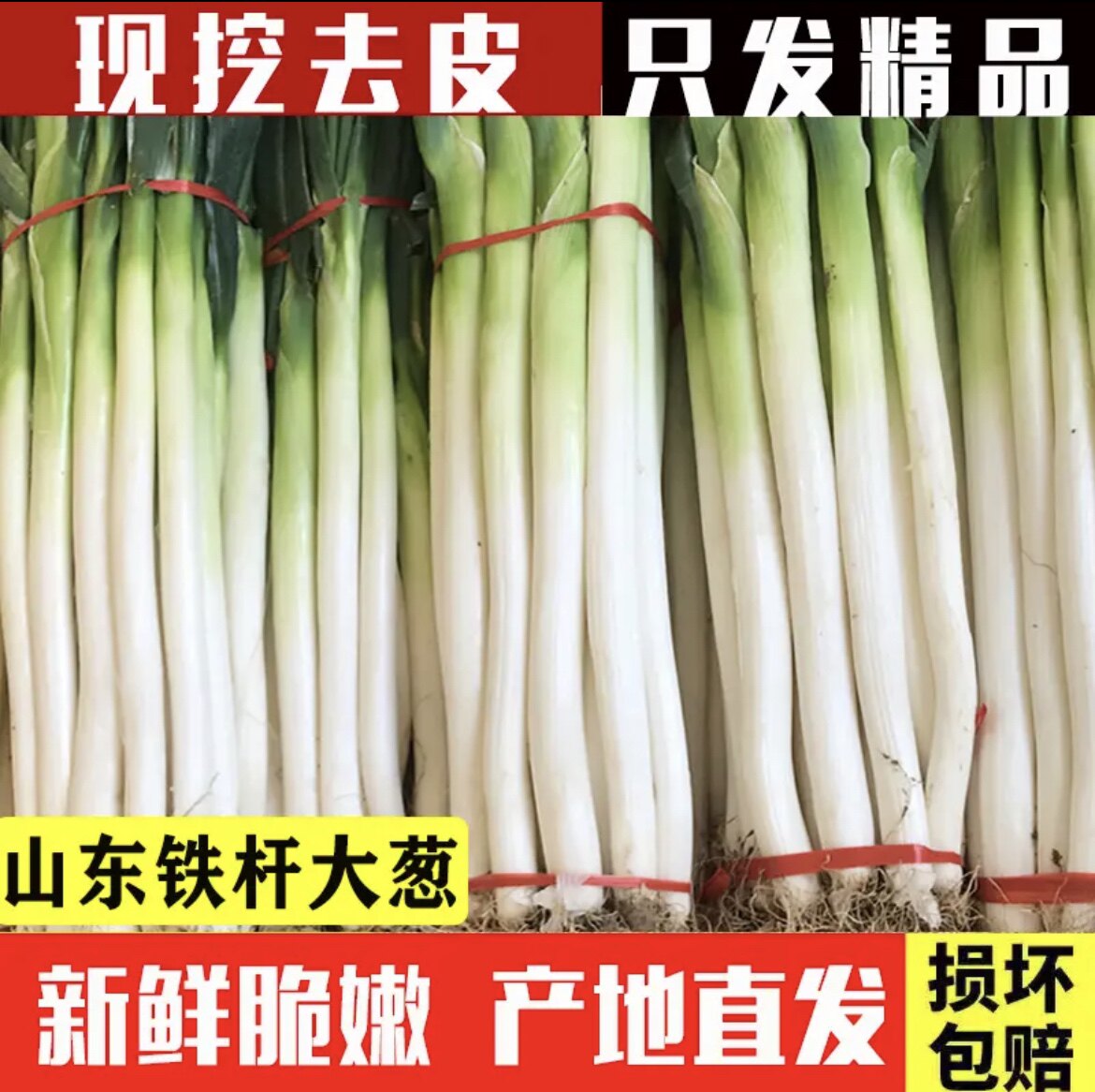 正宗山东铁杆大葱去皮去半叶精选葱类
