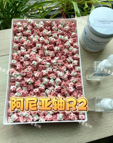 阿尼亚轴R2，小蜜蜂手工精润，正版米勒3204润滑，到手即用。