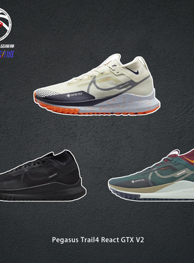 Nike耐克飞马Pegasus Trail4React GTX V2黑武士越野鞋HM9728-002