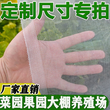 定制专拍防虫网大棚防虫网果园防虫网蔬菜网
