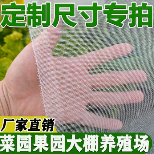 定制专拍防虫网大棚防虫网果园防虫网蔬菜网