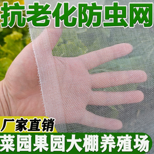 防虫网防柳絮蚊子窗纱网纱网大棚庭院农用加密院子沙网防蚊网纱窗
