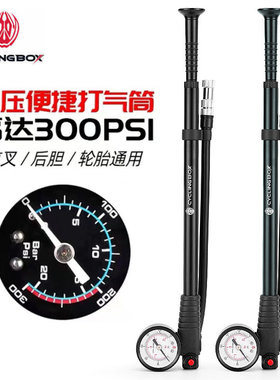 美利达通用山地自行车迷你气压前叉避震器打气筒300PSI高压充气泵
