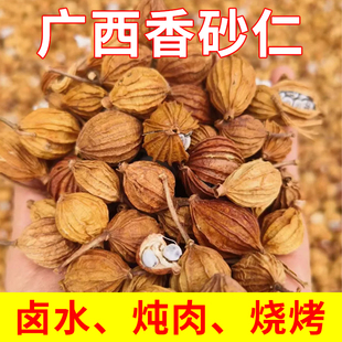 香砂仁香料批发香砂香料川砂仁正宗砂仁粉中药砂仁食用五香料卤料