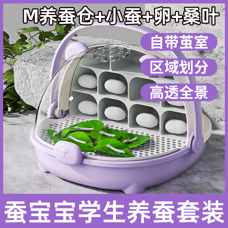 M养蚕舱蚕宝宝养育仓活物蚕宝宝别墅饲养箱学生课程养蚕套装
