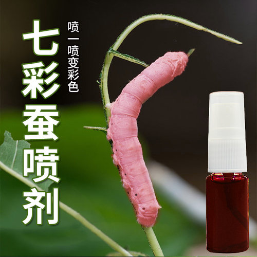 彩色喷剂蚕宝宝养蚕配件工具七彩蚕无激素喷剂红色蓝色紫色无色素