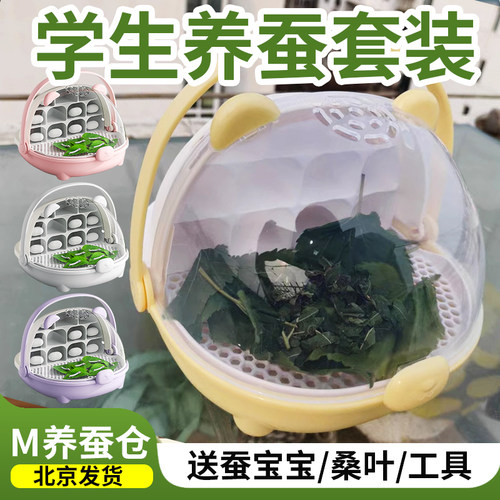 M养蚕舱蚕宝宝123龄养育仓活物蚕宝宝别墅饲养箱学生课程养蚕套装