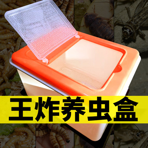 爬宠A1养虫盒透气漏粪防逃防臭面包虫杜比亚专业蛐蛐防逃饲养盒