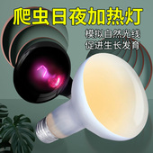 爬虫UVA加热灯变色龙陆龟箱加保温UVB补钙灯乌龟蜥蜴守宫夜灯220v
