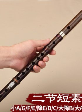 笛子竹笛紫竹短素笛初学演奏横笛短素笛大G成人大A大降B降E调乐器