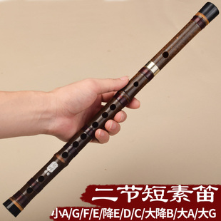 笛子竹笛紫竹短素笛初学演奏横笛短素笛大G成人大A大降B降E调乐器