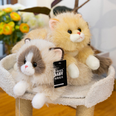 可爱仿真猫咪玩偶公仔睡觉抱陪伴布偶猫毛绒玩具娃娃送女生日礼物