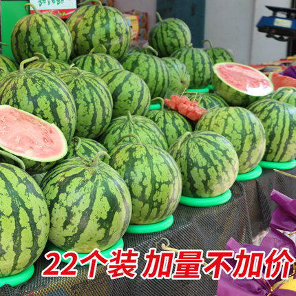 西瓜固定圈放榴莲西瓜圈水果店防滑垫塑料圈摆放垫圈底座托圈篮球
