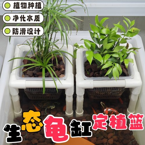 生态龟缸种植篮植物支架水培盒子