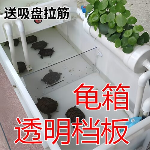 隔离塑胶透明挡板鱼缸分开龟苗