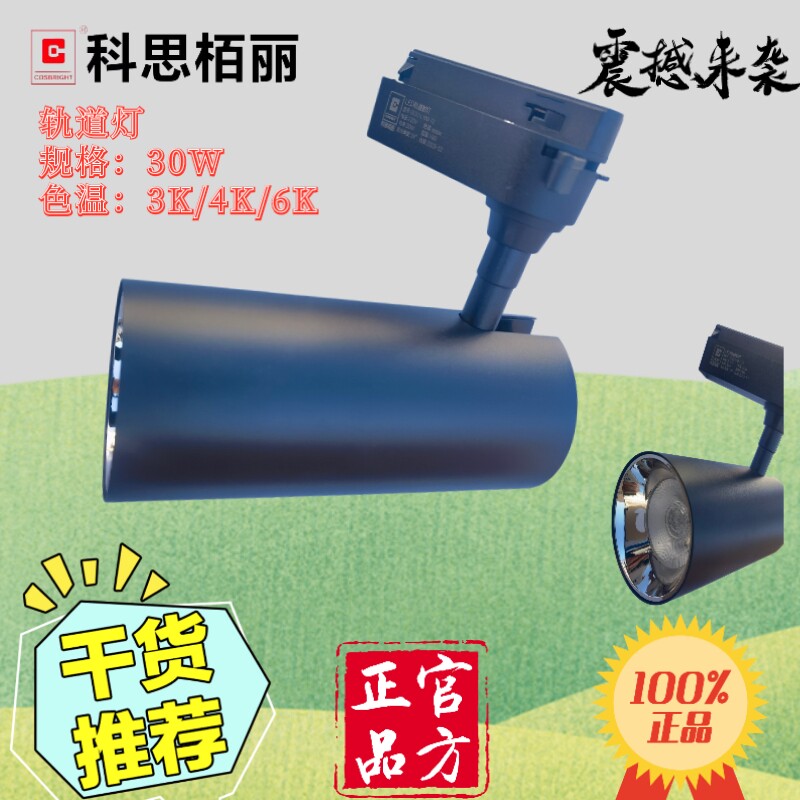 科思栢丽轨道灯商业足功率 30W40W轨道灯LED射灯COB服饰磁砖酒店