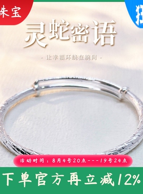 新款足银9999纯银手镯女灵蛇纹路实心年轻款推拉银手镯子时尚礼物
