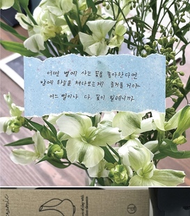 韩系简约手帐待办备忘记事 flow便签本 浮光分装 韩国imeanit