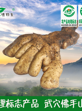 新鲜现挖种植绿色食品梅川余川湖北武穴广济特产武穴佛手山药