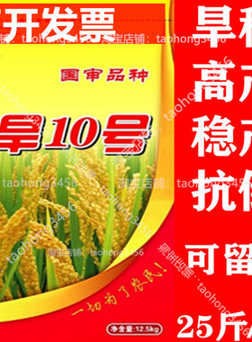 旱稻种子郑旱10号稻谷种籽高产山地优质高产圆粒珍珠米水稻种子