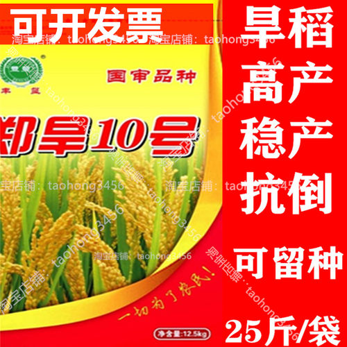 珍珠米旱水稻种子优质高产可留种