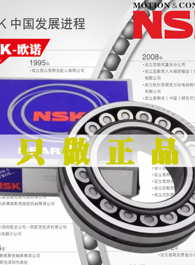 NSK进口轴承22205 22206 22207 22208 22209 CA CD EAE4/W33C3S11