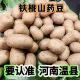 山药豆正宗河南焦作温县铁棍豆怀山药蛋垆土地香甜粉糯蔬菜淮山药