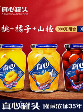 真心水果罐头880gX3聚会分享装