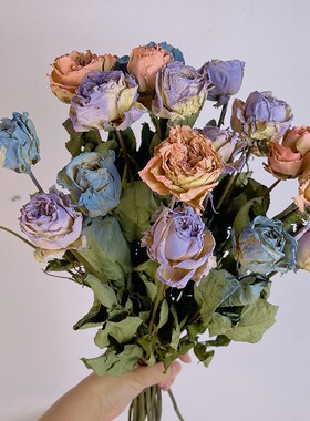 碎冰蓝玫瑰干花真花蔷薇多头小玫瑰干花diy相框花材染色玫瑰干花
