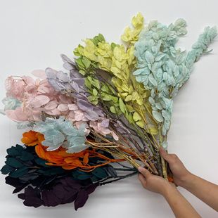 永生黄金叶 永生花束栗树叶花束装饰叶材叶材玻璃钟罩现货