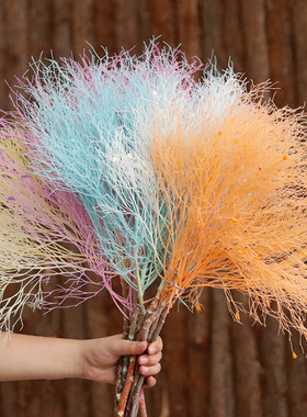 梦幻草永生花真花保鲜花