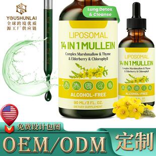 定制 Liposomal 14 In 1 Mullein 用于肺部亚马逊热销 毛蕊花样品