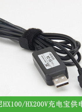 振发 适用于索尼相机DSC-HX100 HX200V  FDR-AX700外接电源线