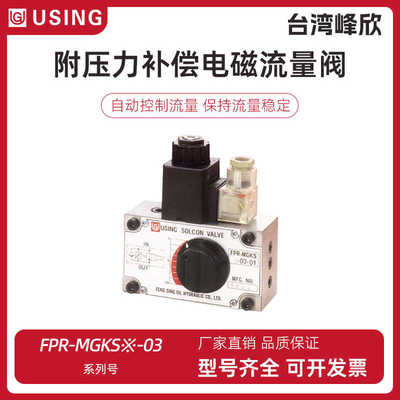 USING电磁流量阀FPR-MGKS2-03