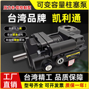 01柱塞泵P22 P46 01台湾凯利通P36 P16