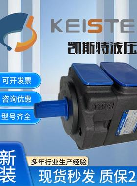 凯斯特KEISTER叶片泵PV2R1-10 14 17 19 23 25 28 31-FR 液压油泵