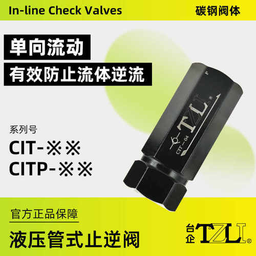 TZLI单向阀CIT-02止逆阀