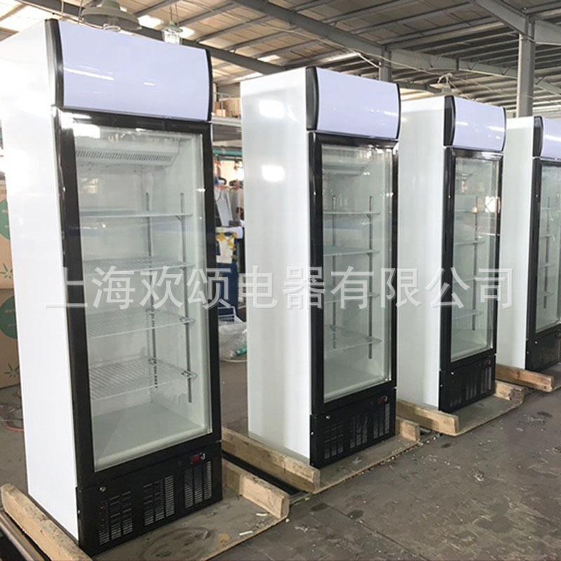 冰淇淋立式冷冻展示柜商用冷柜迷你哈根达斯雪糕冰柜小型冰箱