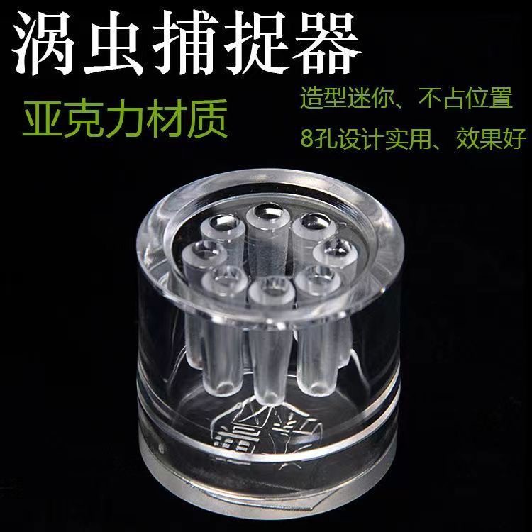 鱼缸涡虫诱捕器亚克力涡虫捕捉器水族8孔涡虫收集器涡活虫收集器