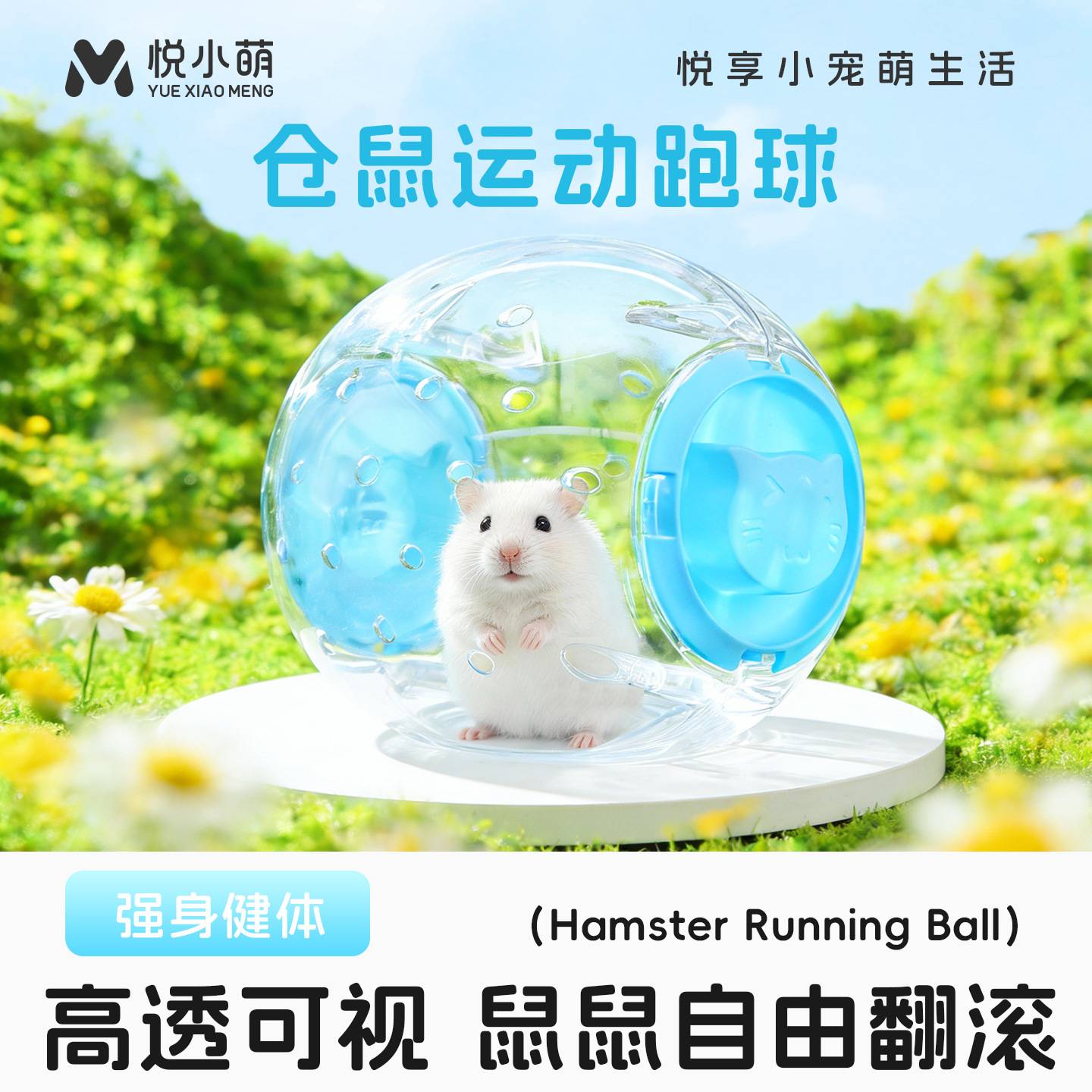 悦小萌仓鼠跑球运动跑轮金丝熊花枝鼠跑步滚轮互动解闷玩具用品