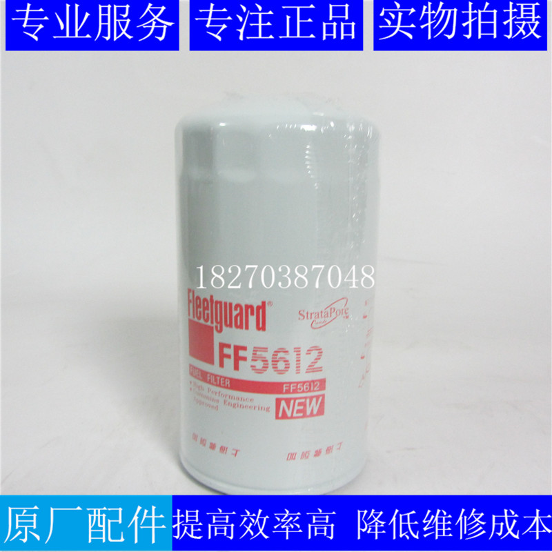 FF5612弗列加柴油滤芯5404943